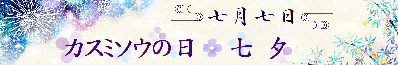 2025　七夕・カスミソウの日