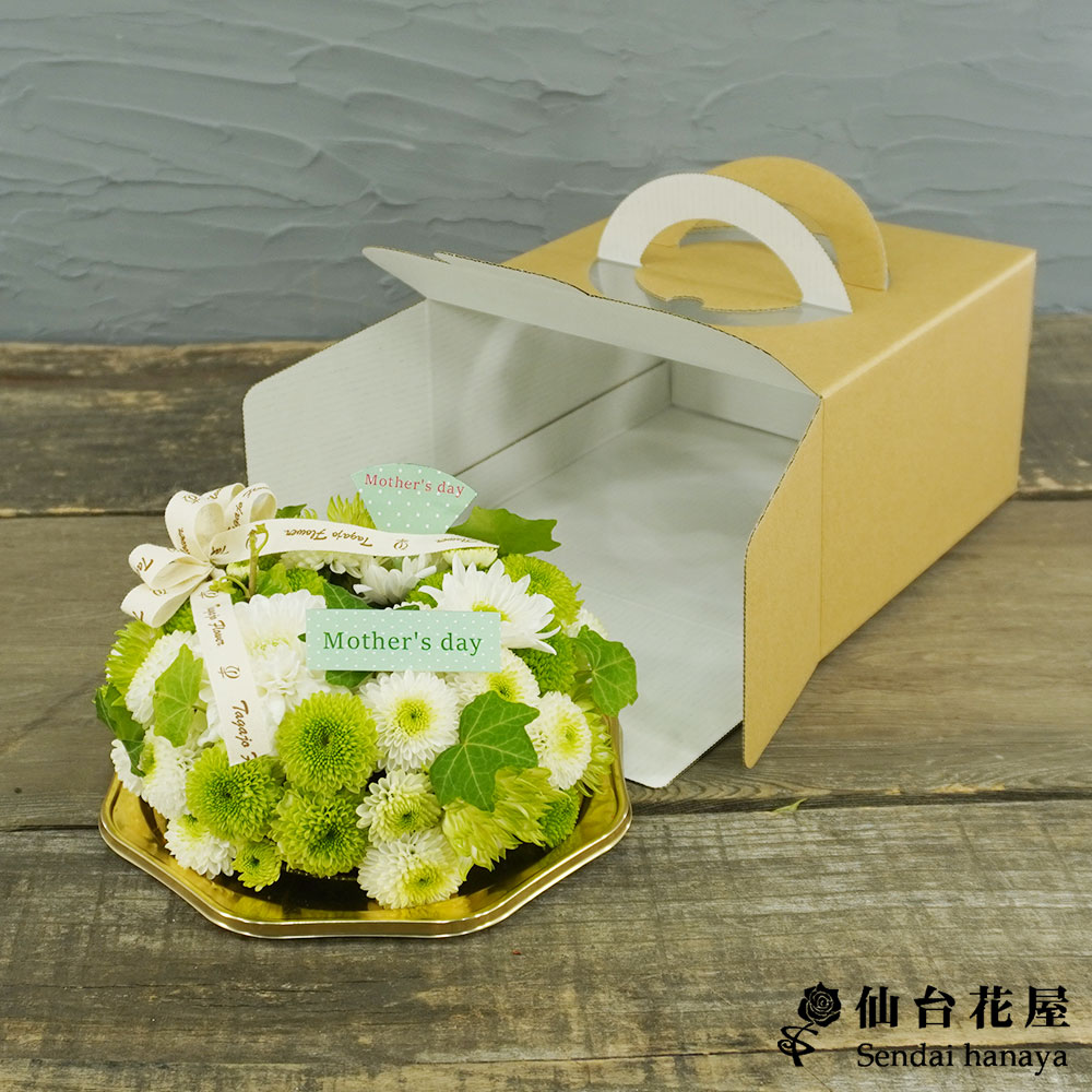 仙台花屋 宮城県仙台市 仙台の花屋 花 花束 当日配達 母の日ギフト マム 菊 で作ったマームクーヘン グリーン Mサイズ 5号 5 280円 仙台花屋 宮城県仙台市 仙台の花屋 花 花束 当日配達 母の日ギフト マム 菊 で作ったマームクーヘン グリーン Mサイズ 5号 5 280円